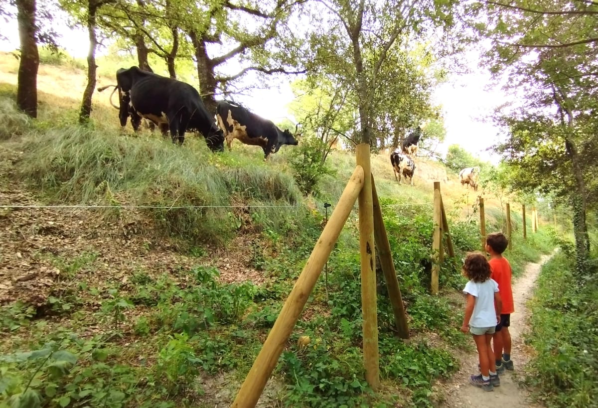 22 ACTIVITATS SENZILLES I CREATIVES per fer amb nens