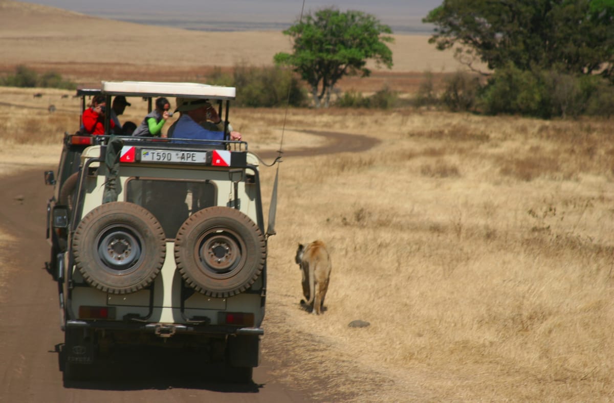 COM ORGANITZAR UN SAFARI AL CRÀTER DE NGORONGORO?