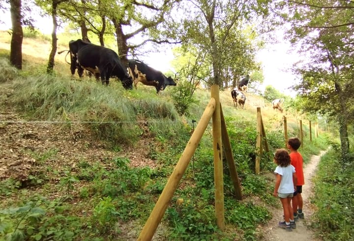 22 ACTIVITATS SENZILLES I CREATIVES per fer amb nens