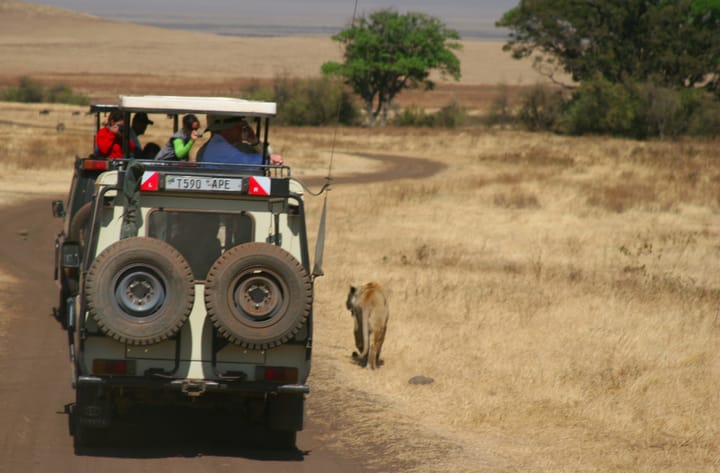COM ORGANITZAR UN SAFARI AL CRÀTER DE NGORONGORO?